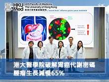 港大醫學院破解胃癌代謝密碼，腫瘤生長減慢65%