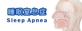 睡眠窒息症sleep apnea syndrome