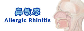 鼻敏感Allergic Rhinitis