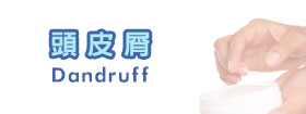 頭皮屑Dandruff