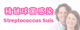 豬鏈球菌感染Streptococcus Suis