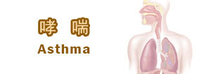 哮喘Asthma