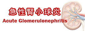 急性腎小球炎Acute Glomerulonephritis