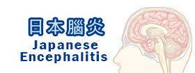 日本腦炎Japanese Encephalitis