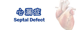 心漏症Septal Defect