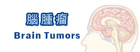 腦腫瘤Brain Tumors