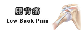 腰背痛Low Back Pain