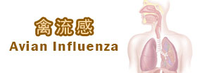 禽流感 Avian Influenza