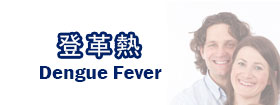 登革熱Dengue Fever 
