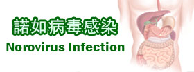 諾如病毒感染Norovirus Infection