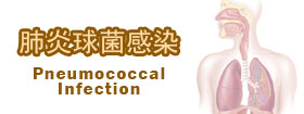 肺炎球菌感染 Pneumococcal Infection