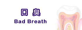 口臭Bad Breath