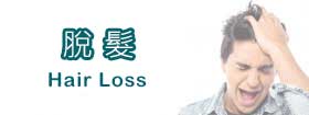 脫髮Hair Loss