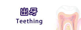 出牙Teething