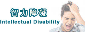 智力障礙Intellectual Disability