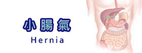 小腸氣Hernia