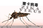 內地增一宗外地傳入寨卡個案