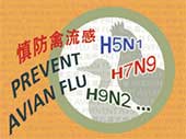 高永文 : 關注H7N9病毒變異
