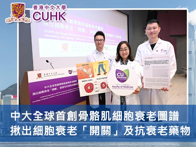 中大全球首創骨骼肌細胞衰老圖譜 揪出細胞衰老「開關」及抗衰老藥物