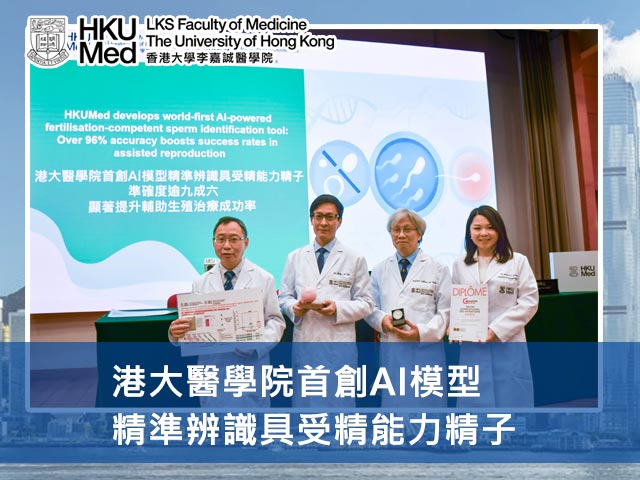 港大醫學院首創AI模型 精準辨識具受精能力精子