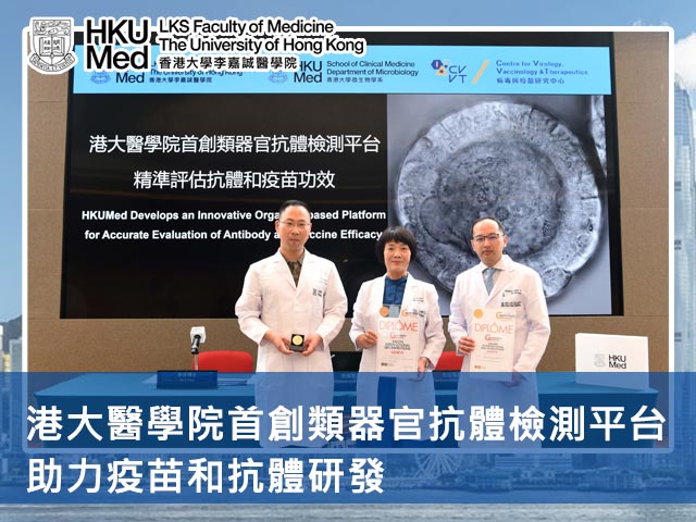港大醫學院首創類器官抗體檢測平台 助力疫苗和抗體研發