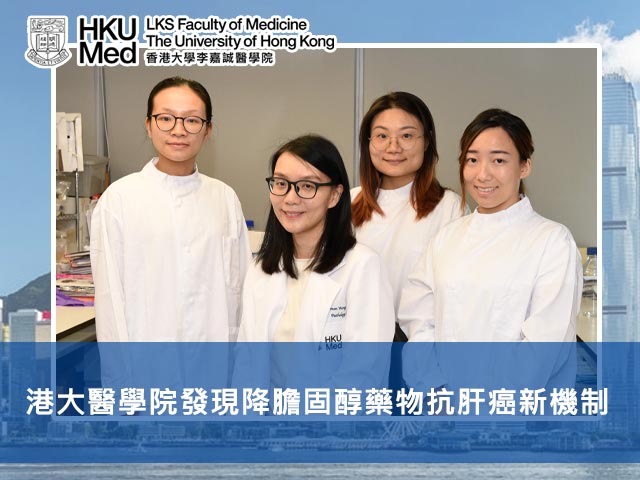 港大醫學院發現降膽固醇藥物抗肝癌新機制
