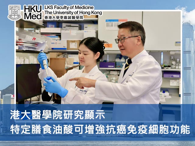 港大醫學院研究顯示特定膳食油酸可增強抗癌免疫細胞功能