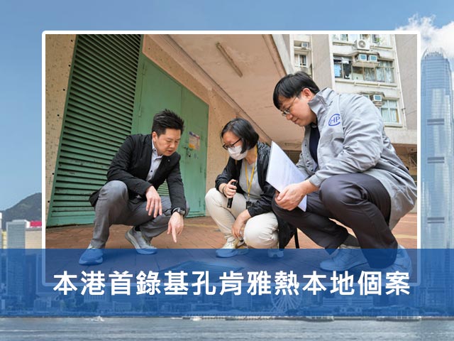 本港首錄基孔肯雅熱本地個案