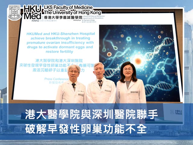 港大醫學院與深圳醫院聯手破解早發性卵巢功能不全