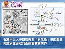 香港中文大學研發新型「納米蟲」基因載體 開創安全有效的基因治療新境界