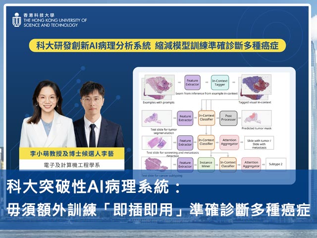 科大突破性AI病理系統：毋須額外訓練「即插即用」 準確診斷多種癌症