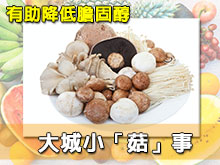 大城小「菇」事