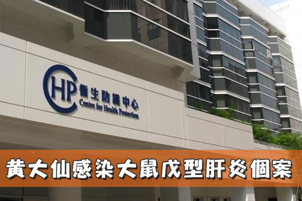 黃大仙感染大鼠戊型肝炎個案
