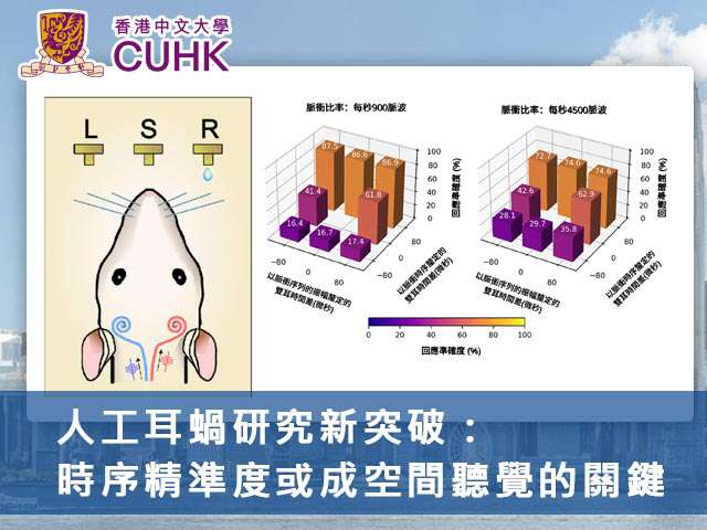 人工耳蝸研究新突破:時序精準度或成空間聽覺的關鍵