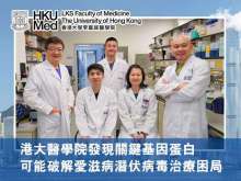 港大醫學院發現關鍵基因蛋白 可能破解愛滋病潛伏病毒治療困局